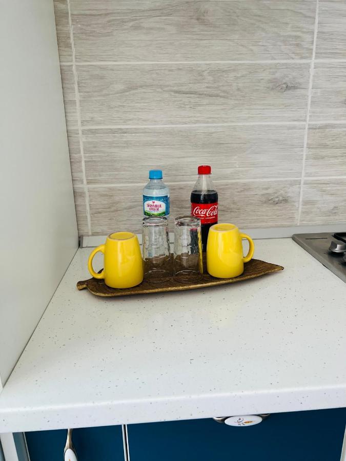 Miha Modern And Central Apartament Arad Ngoại thất bức ảnh